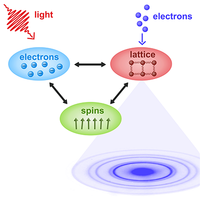 Lattice dynamics and ultrafast energy flow between electrons, spins ...