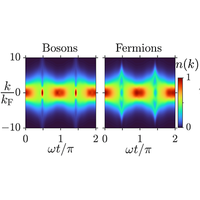 Quantum soliton-trains of strongly correlated impurities in Bose ...