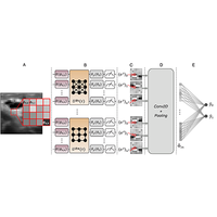 Digital-analog quantum convolutional neural networks for image ...