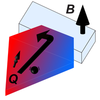 Thermal Hall Effects of Spins and Phonons in Kagome Antiferromagnet Cd ...