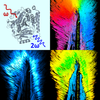 Physical Review X - Volume 14 Issue 1