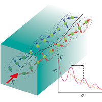 Direct Observation of Spin Current Oscillation in a