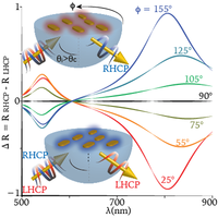 Near-Complete Photon Spin Selectivity in a Metasurface of Anisotropic ...
