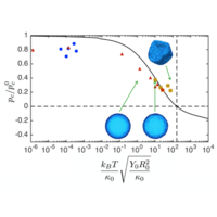 Statistical Mechanics of Thin Spherical Shells | Phys. Rev. X