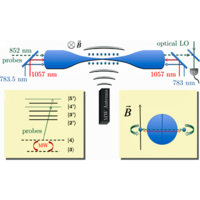 Observation of Quantum Spin Noise in a 1D Light-Atoms Quantum Interface ...