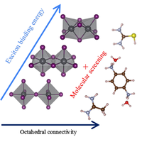 Controlling Excitons in Quasi-1D Perovskites by Dielectric