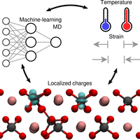 Stability of Polarons and Oxygen Vacancies in Revealed by Machine ...