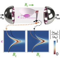 Nuclear Spin Readout in a Cavity-Coupled Hybrid Quantum Dot-Donor ...