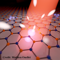 Probing the Optical Dynamics of Quantum Emitters in Hexagonal Boron ...