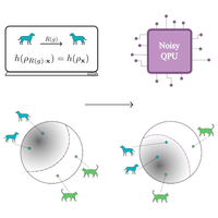 Symmetry Breaking in Geometric Quantum Machine Learning in the Presence ...