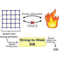 Strong-to-Weak Spontaneous Symmetry Breaking in Mixed Quantum States ...