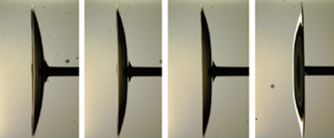 Physical Review Letters - Experimental Quantum Error Correction below ...