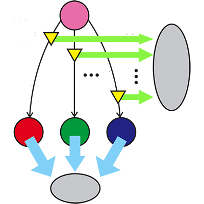 Physical Review A - Improving quantum parameter estimation by ...