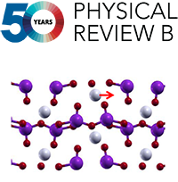 Theorypolarization 1